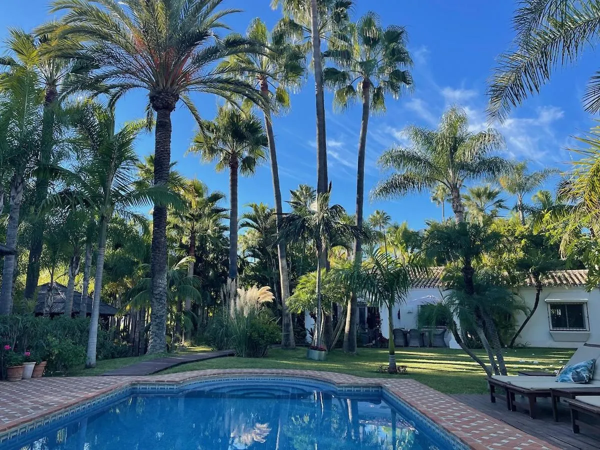 Villa In A Palm Tree Plantation location