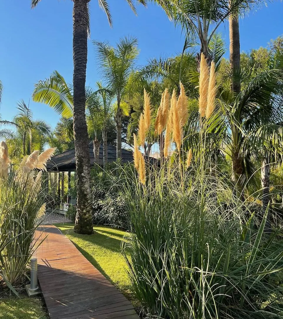 Villa In A Palm Tree Plantation Marbella
