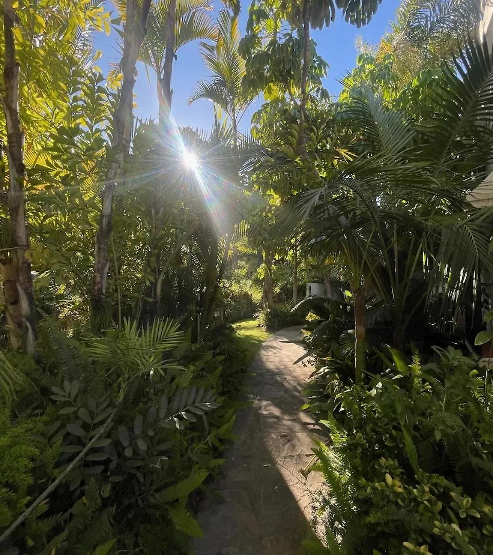 Villa In A Palm Tree Plantation ماربيا 0*,